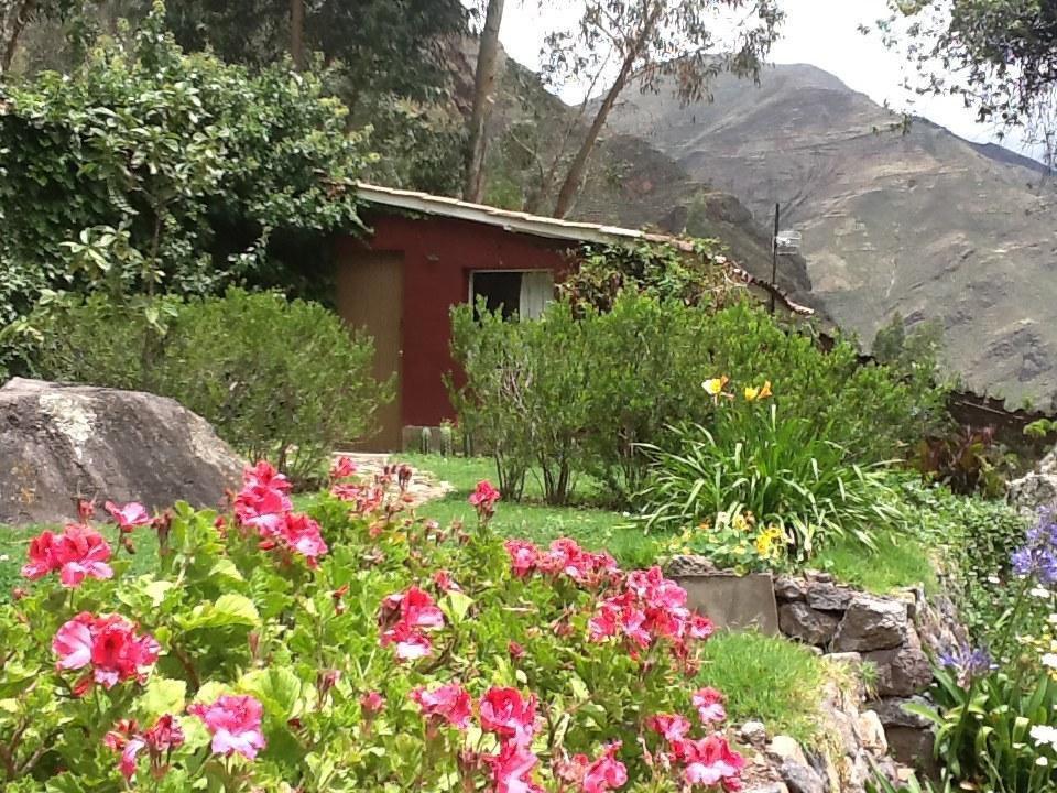 La Casa Del Conde Bed and Breakfast Písac Esterno foto